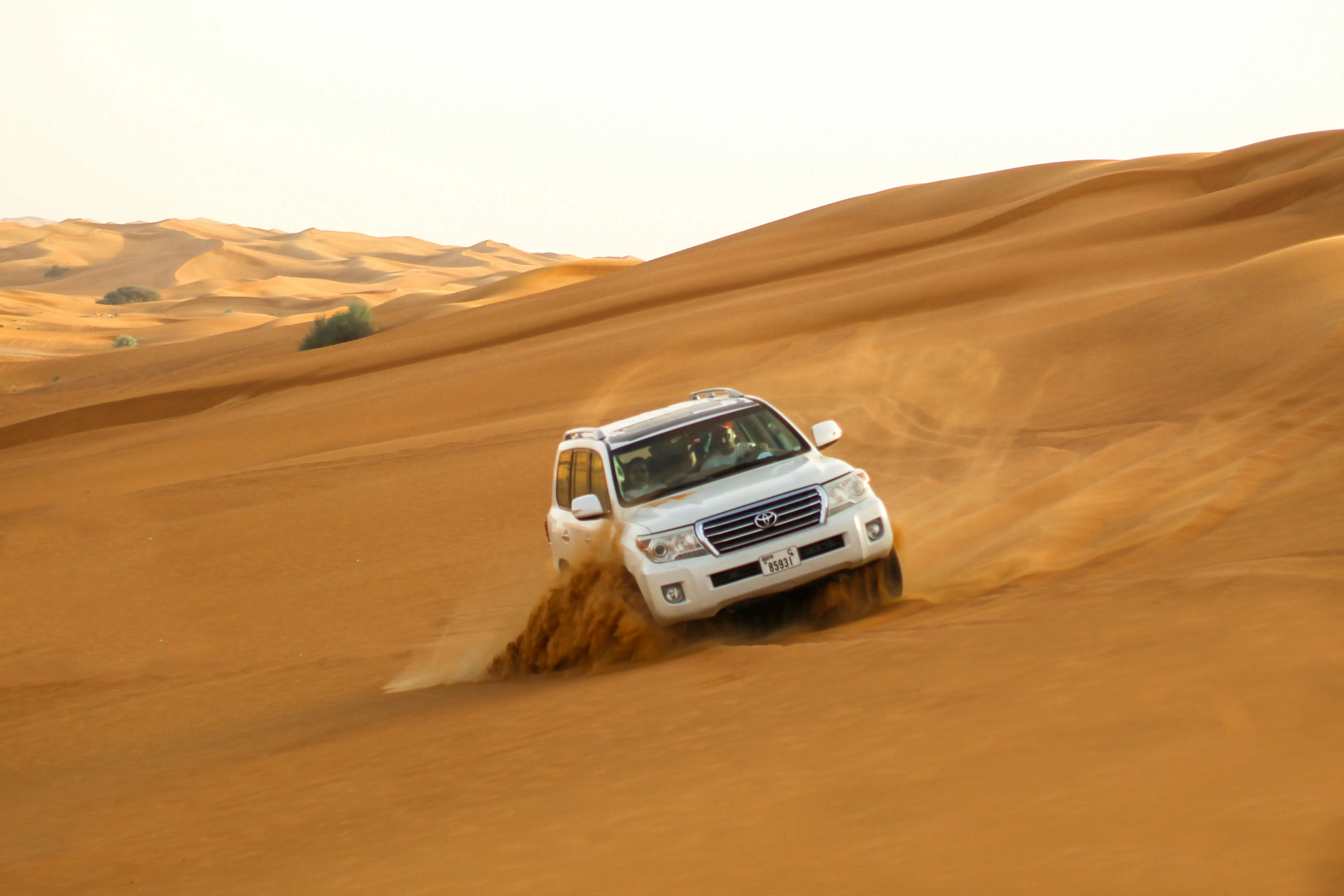 Desert Safari in Dubai